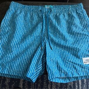 Vibrant Blue Striped Swim Trunks with Elastic Waistband